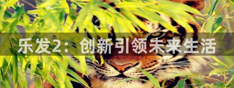 狗子28环保：乐发2：创新引领未来生活