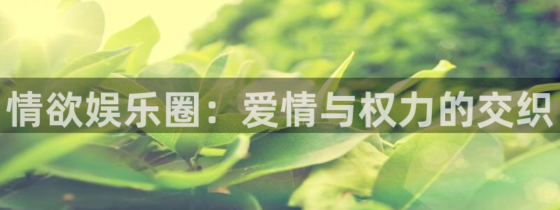 狗子28体育2：情欲娱乐圈：爱情与权力的交织