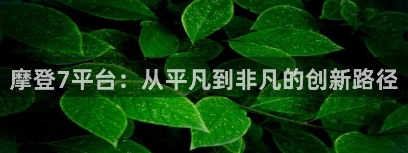 狗子28登录注册：摩登7平台：从平凡到非凡的创新路径