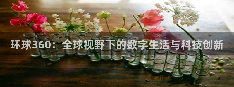 佛山市南海狗子28机电仪器有限公司：环球360：全球视野下的数字生活与科技创新
