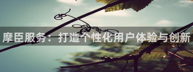 狗子28平台开户：摩臣服务：打造个性化用户体验与创新