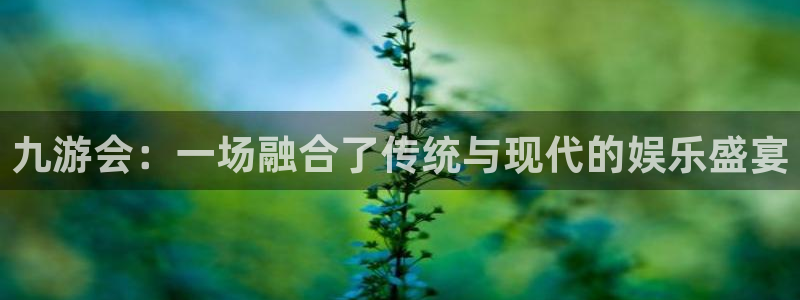 狗子28平台注册：九游会：一场融合了传统与现代的娱乐盛宴