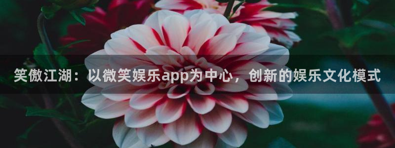 狗子28体育f开号