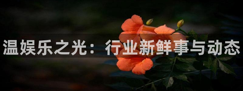 狗子28体育注册代理：温娱乐之光：行业新鲜事与动态