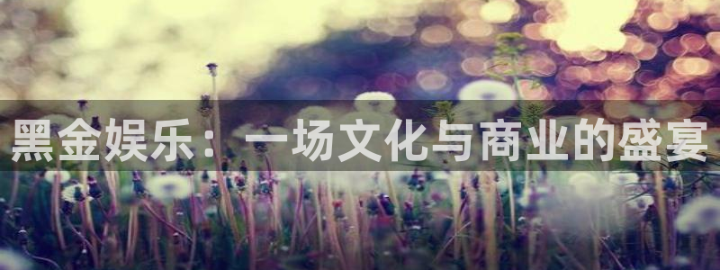 狗子28体育代理申请流程：黑金娱乐：一场文化与商业的盛宴