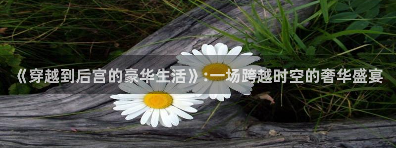 狗子28体育凯捷平台代理：《穿越到后宫的豪华生活》:一场跨越时空的奢华盛宴