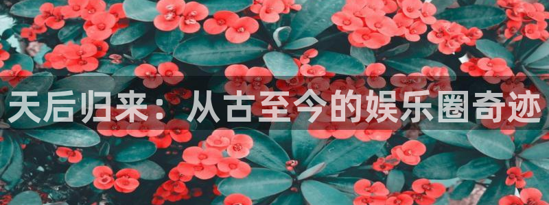 狗子28体育app下载：天后归来：从古至今的娱乐圈奇迹