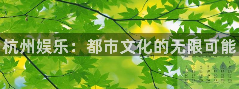 狗子28体育注册平台：杭州娱乐：都市文化的无限可能