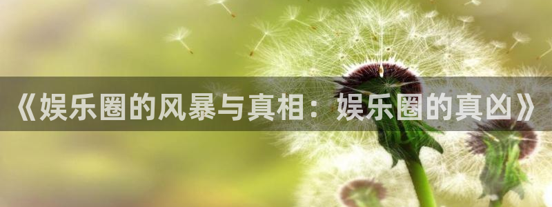 狗子28体育f开户：《娱乐圈的风暴与真相：娱乐圈的真凶》