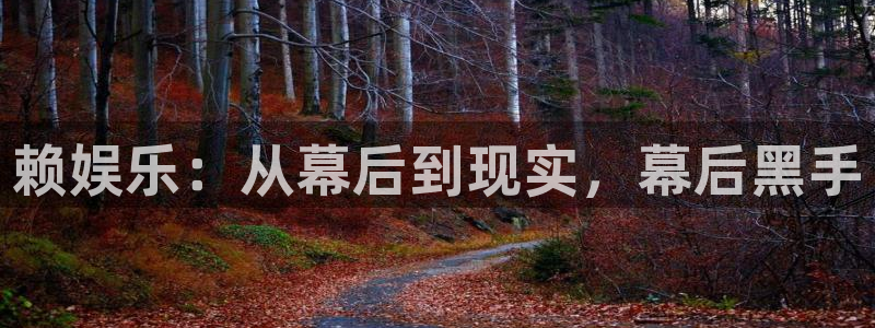 狗子28体育游戏：赖娱乐：从幕后到现实，幕后黑手