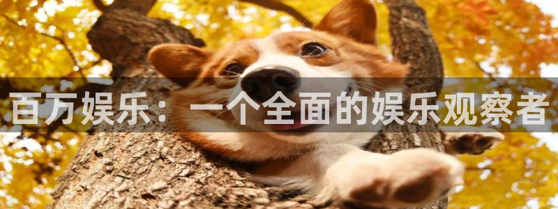 狗子28体育eon：百万娱乐：一个全面的娱乐观察者