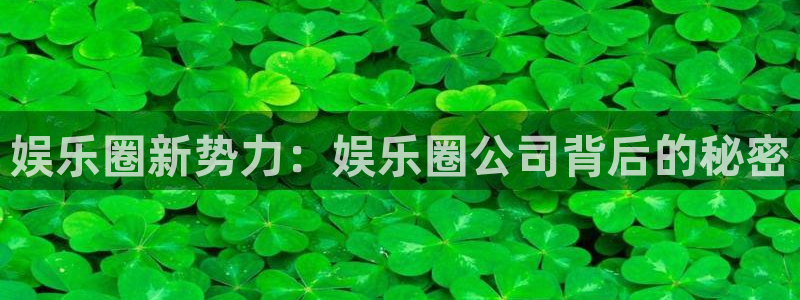 狗子28招商：娱乐圈新势力：娱乐圈公司背后的秘密