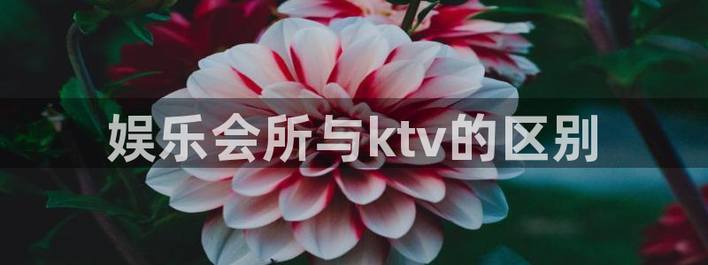 狗子28体育：娱乐会所与ktv的区别