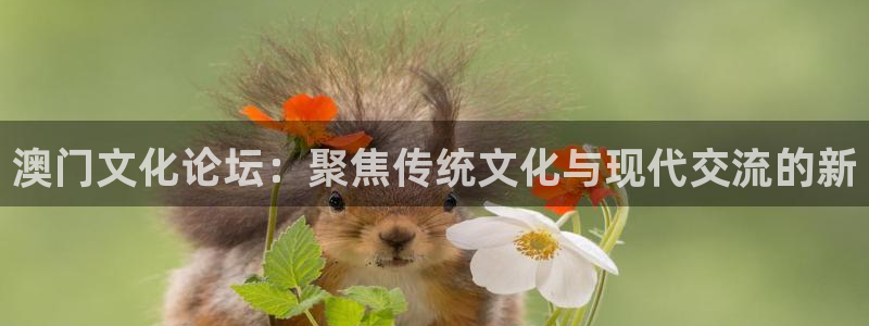 狗子28登录注册：澳门文化论坛：聚焦传统文化与现代交流的新