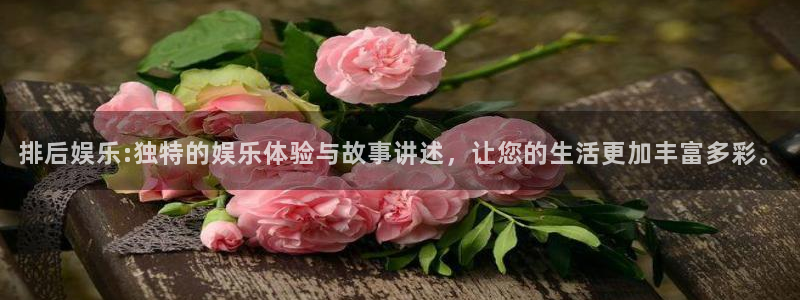 狗子28平台总代理：排后娱乐:独特的娱乐体验与故事讲述，让您的生活更加丰富多彩。
