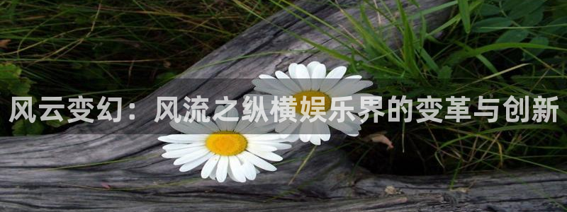 狗子28体育热门赛事有哪些：风云变幻：风流之纵横娱乐界的变革与创新