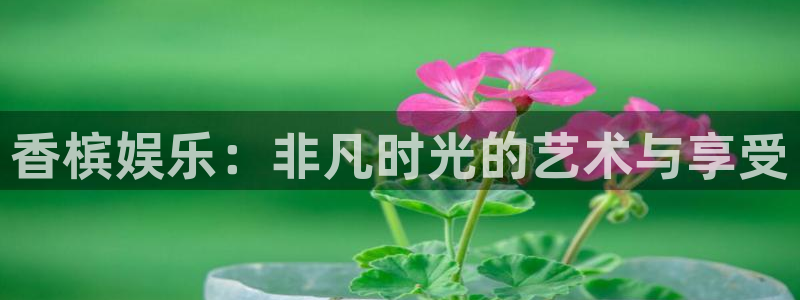 狗子282平台注册：香槟娱乐：非凡时光的艺术与享受