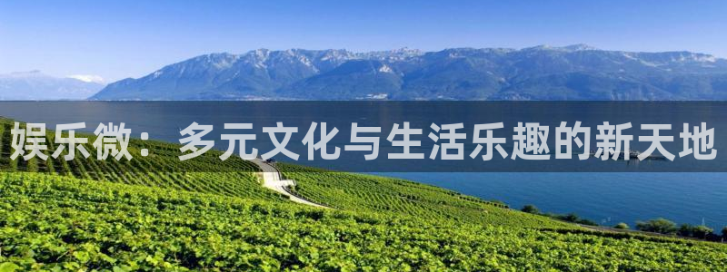 狗子285：娱乐微：多元文化与生活乐趣的新天地