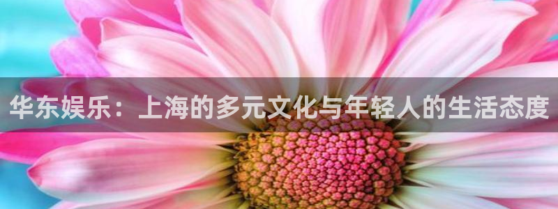 狗子28主管：华东娱乐：上海的多元文化与年轻人的生活态度
