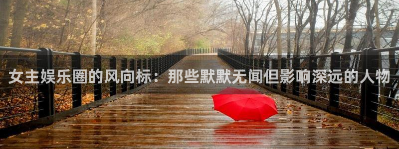 狗子28主管：女主娱乐圈的风向标：那些默默无闻但影响深远的人物