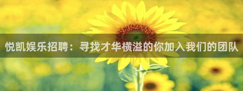 狗子28体育3在线注册：悦凯娱乐招聘：寻找才华横溢的你加入我们的团队