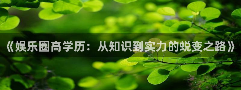 狗子284登录：《娱乐圈高学历：从知识到实力的蜕变之路》