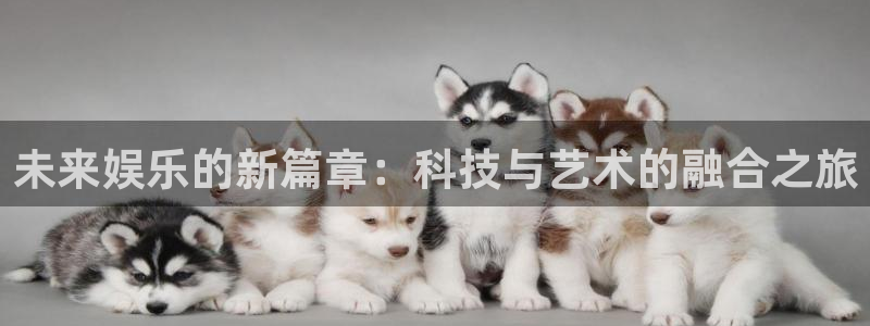 狗子284官网：未来娱乐的新篇章：科技与艺术的融合之旅