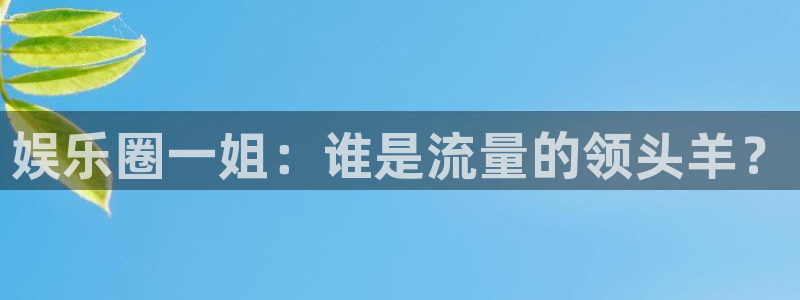 狗子28凯捷平台注册链接：娱乐圈一姐：谁是流量的领头羊？