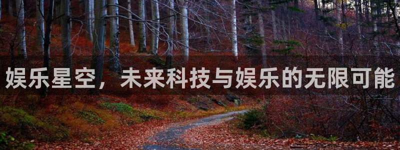 狗子28官网入口：娱乐星空，未来科技与娱乐的无限可能