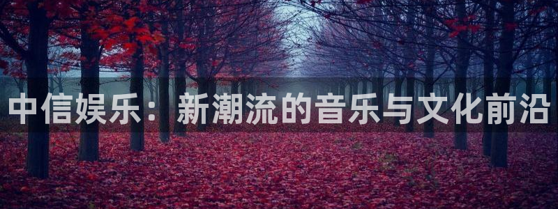 狗子28体育官网入口登录：中信娱乐：新潮流的音乐与文化前沿