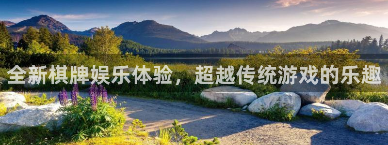 狗子28：全新棋牌娱乐体验，超越传统游戏的乐趣