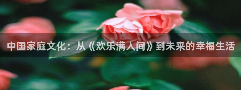 狗子28体育4：中国家庭文化：从《欢乐满人间》到未来的幸福生活