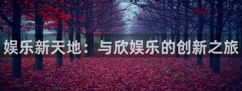 狗子28体育代理申请流程：娱乐新天地：与欣娱乐的创新之旅