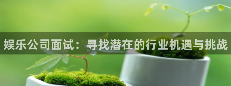 狗子28代理注册官网入口：娱乐公司面试：寻找潜在的行业机遇与挑战