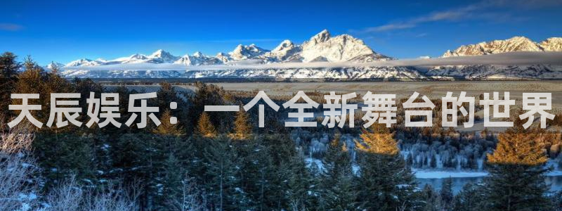 狗子282代理注册：天辰娱乐：一个全新舞台的世界