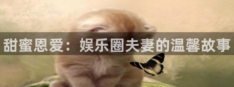 狗子28招商：甜蜜恩爱：娱乐圈夫妻的温馨故事